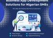Business App Development Solutions for Nigerian SMEs